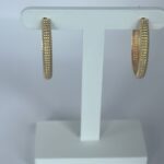 BRINCO ARGOLA LUXO COM BRILHO