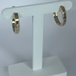 BRINCO ARGOLA LISA MÉDIA GOLD